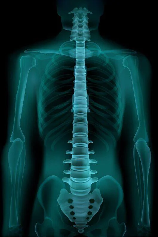 Types of Scans Types of Scans