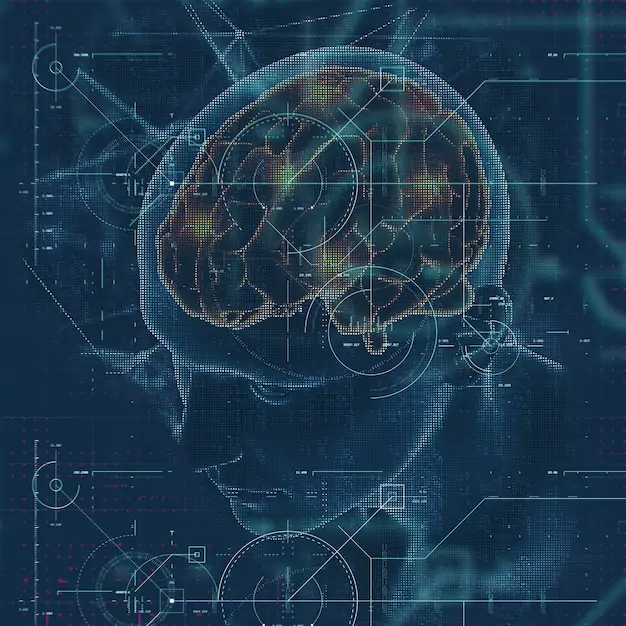 Ct brain scan anatomy
