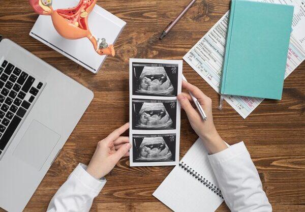 Difference Between anamoly scan and fetal echo