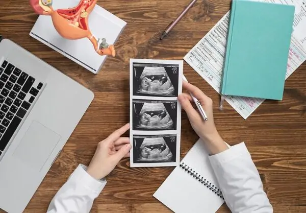 Difference Between anamoly scan and fetal echo