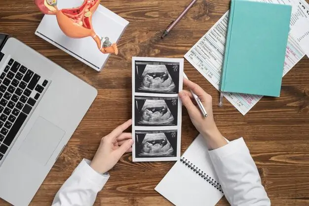 Difference Between anamoly scan and fetal echo